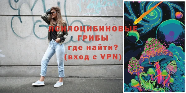 ПСИЛОЦИБИНОВЫЕ ГРИБЫ Осташков