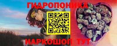 дмт Бийск