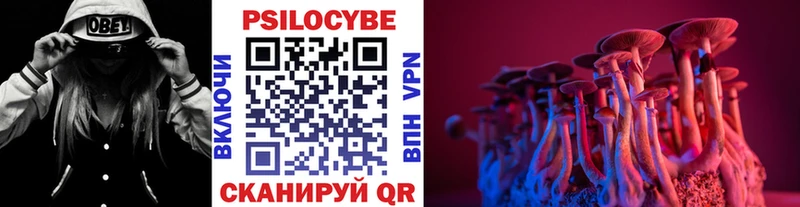 Галлюциногенные грибы Cubensis  МЕГА ссылка  Димитровград 