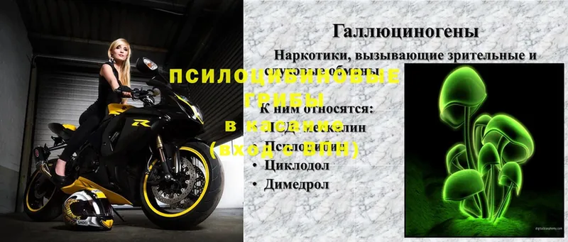 Галлюциногенные грибы Cubensis  Димитровград 
