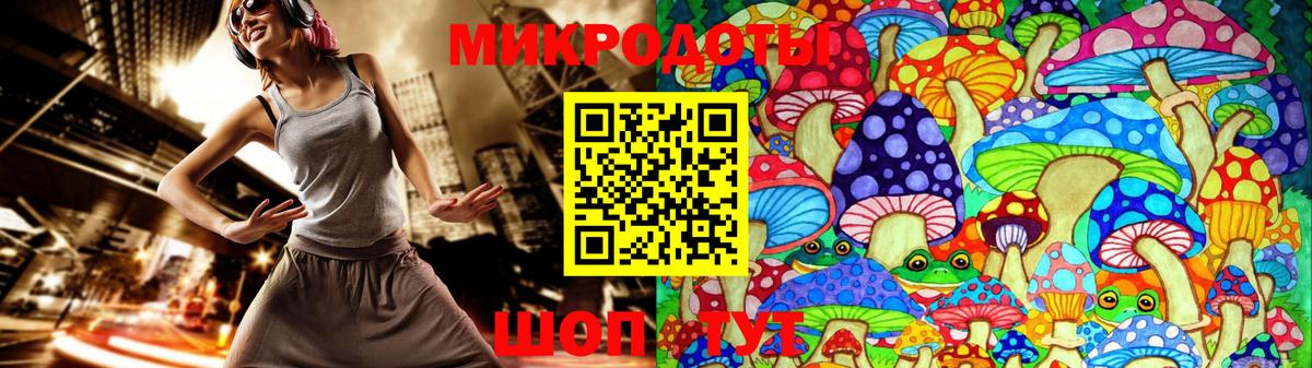 Галлюциногенные грибы Psilocybe  Димитровград  Галлюциногенные грибы Cubensis 