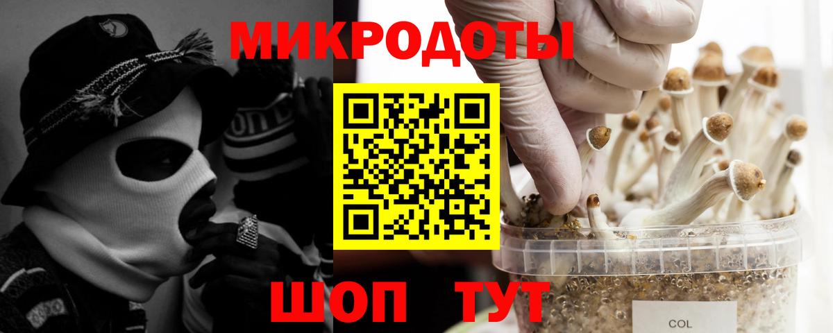 Галлюциногенные грибы Magic Shrooms  где можно купить наркотик  Димитровград  Вход с VPN 
