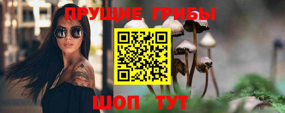 Псилоцибиновые грибы мухоморы Димитровград